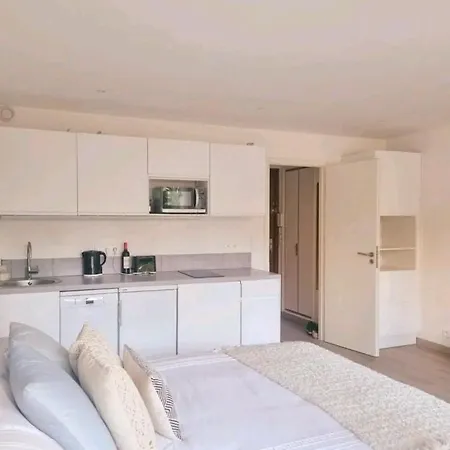 Apartment Studio Puiatti Cannes